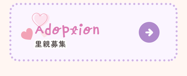 sp_bnrhalf_satooya