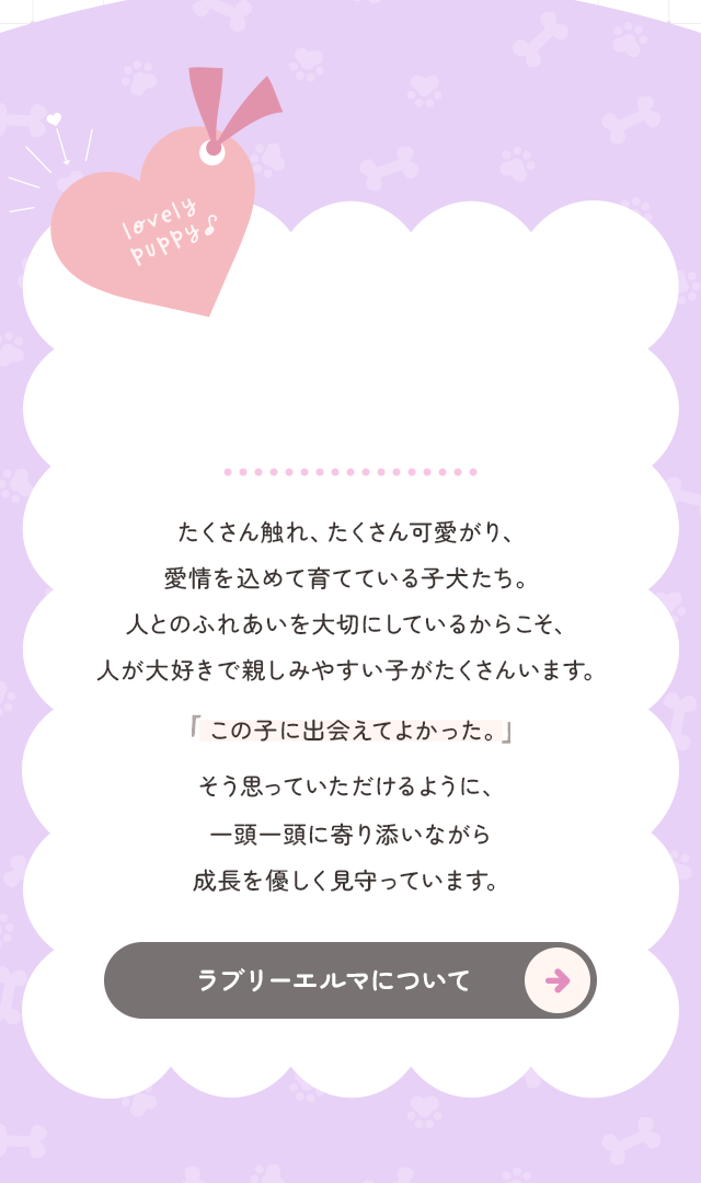 sp_secondmain